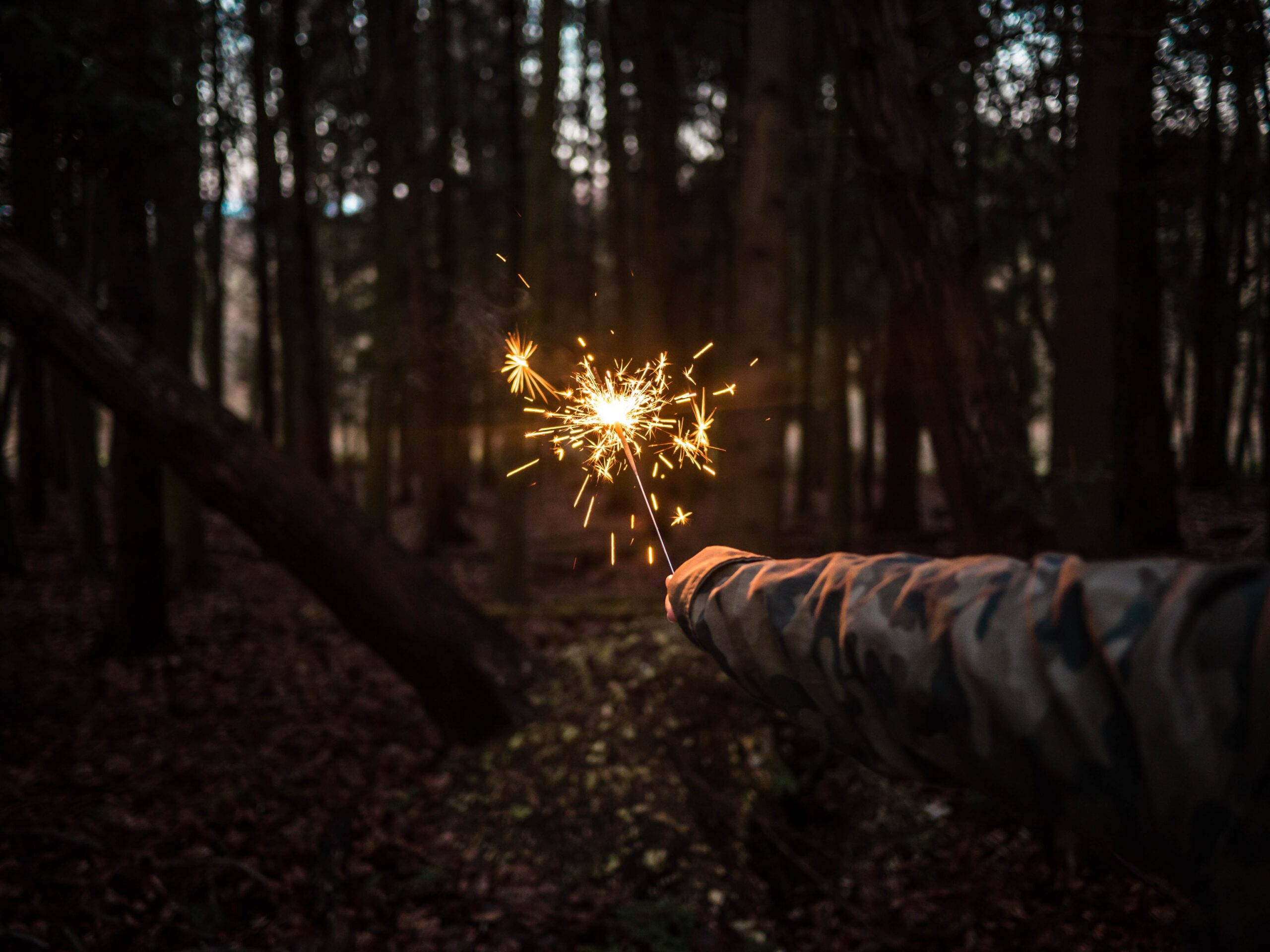 Photo by Jamie Street on Unsplash