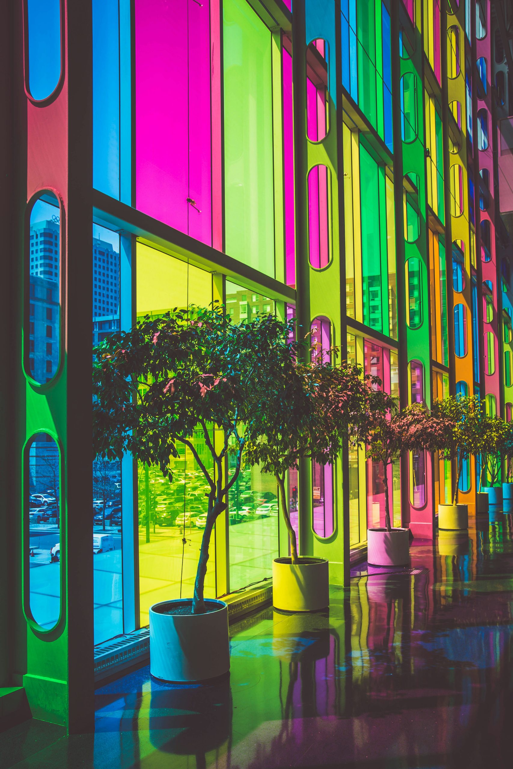 https://unsplash.com/photos/photo-of-green-leafed-plants-inside-building-CuEvrPd3NYc?utm_content=creditShareLink&utm_medium=referral&utm_source=unsplash